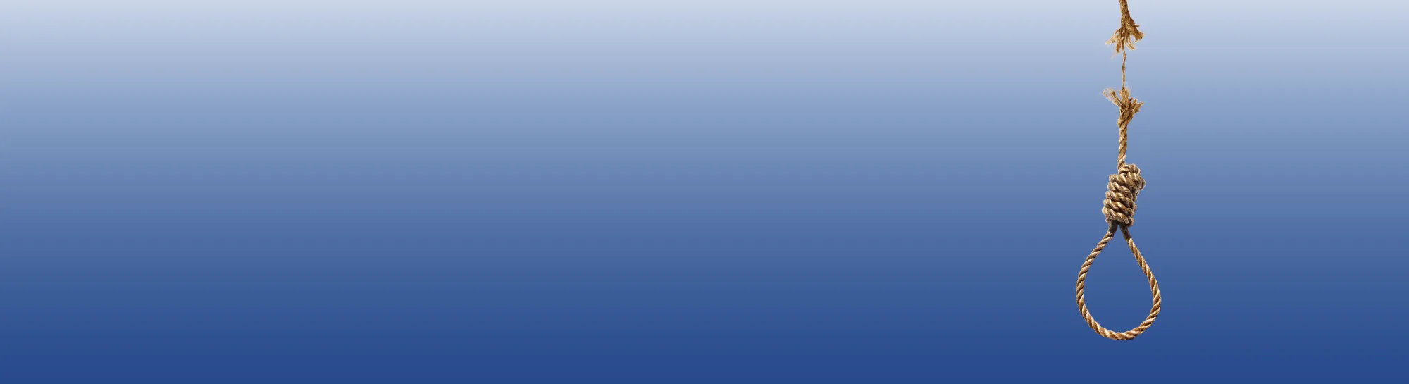banner02 1 (1)